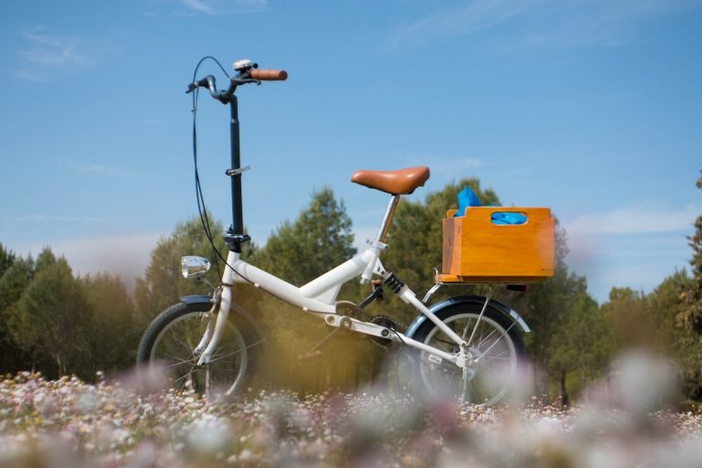 Top 6 Best Folding Electric Bike in Japan