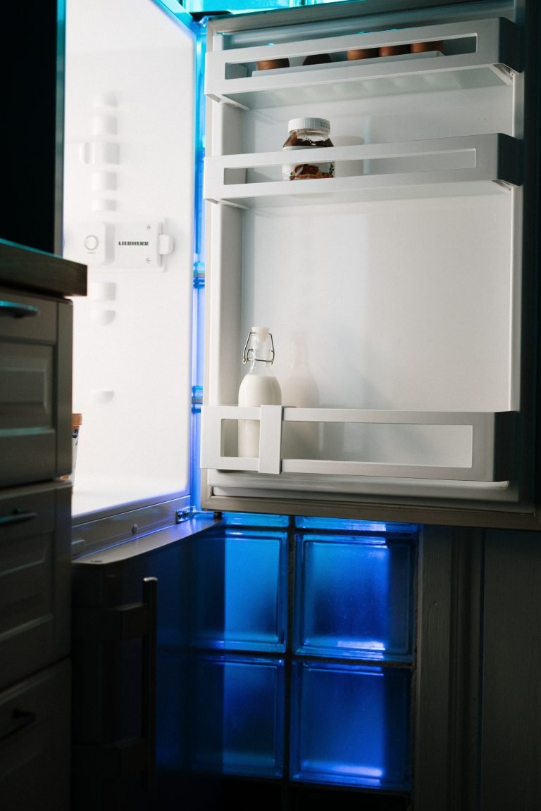 5 Best Refrigerators in Japan