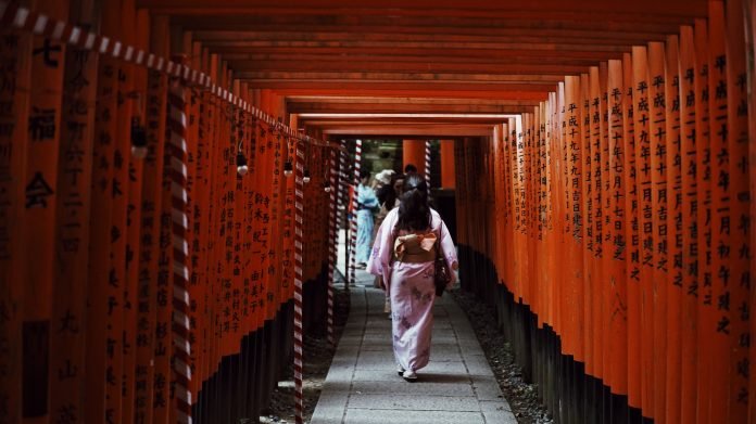 woman wearing kimono in torii gates